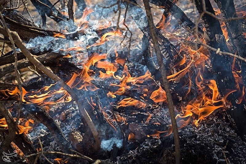  پارک ملی بمو در میان آتش 