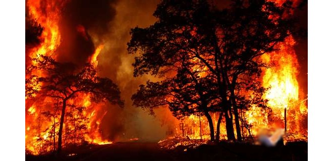 ۲۴۸هکتار از مراتع ، جنگل ها و مزارع کشاورزي لرستان در آتش سوخت 