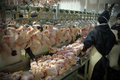 نرخ جدید مرغ و انواع مشتقات آن/ قیمت خرده‌فروشی به ۶۷۵۰ تومان رسید

