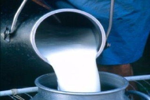 ۱۴ هزار لیتر شیر فاسد در الیگودرز کشف شد