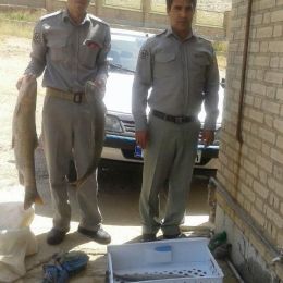 دستگیری صیادان متخلف ماهی در پلدختر 