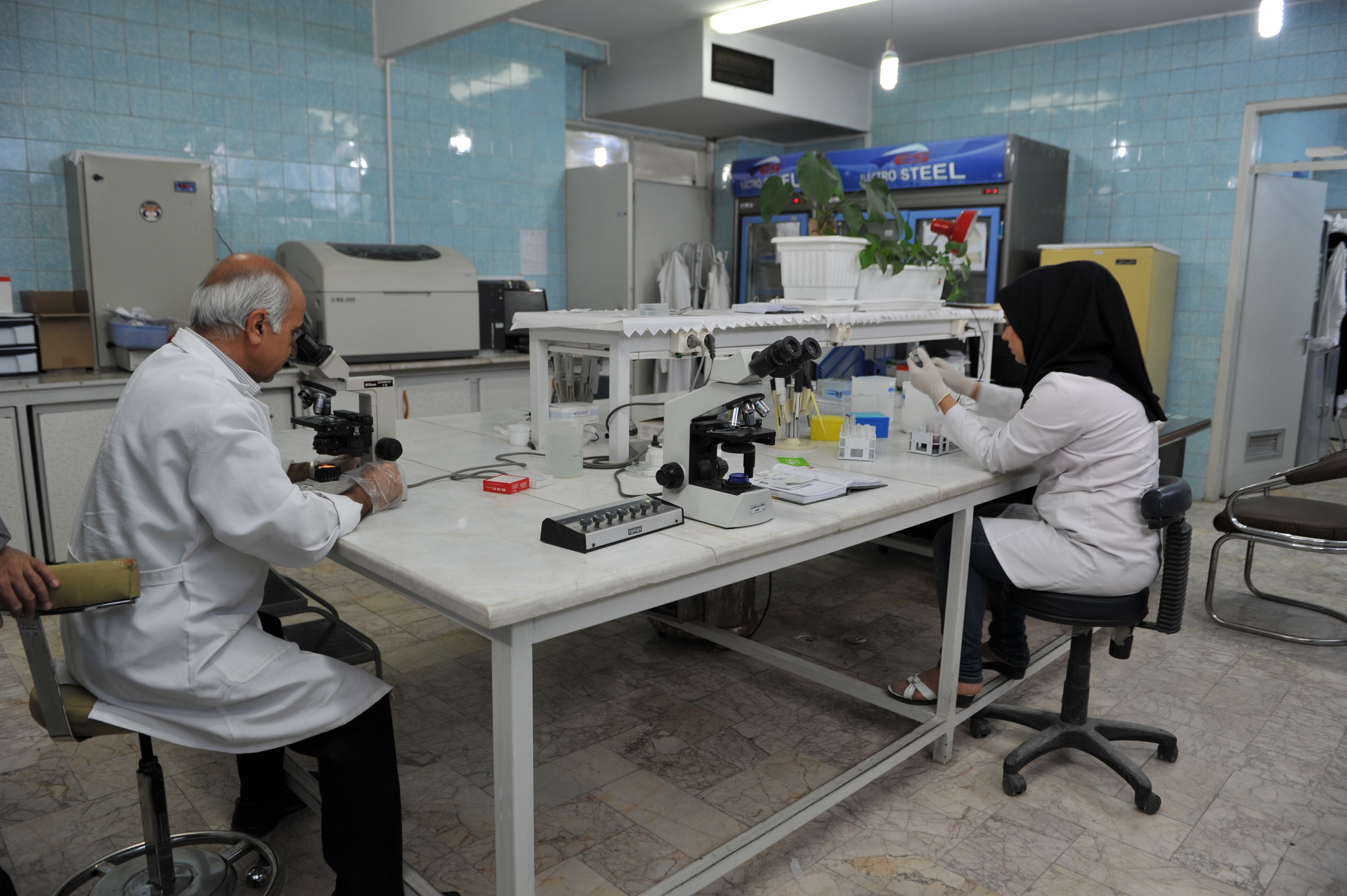 تهیه فرآورده‌های گیاهان دارویی در دانشگاه علوم پزشکی مشهد