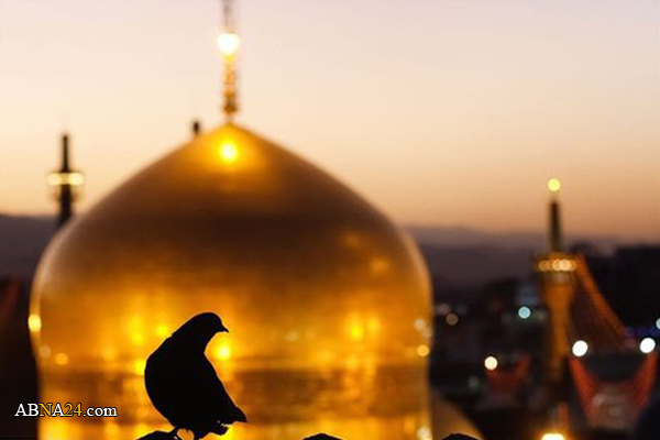 هفدهمین جشنواره بین‌المللی امام رضا(ع) در مشهد و سراسر کشور برگزار می‌شود