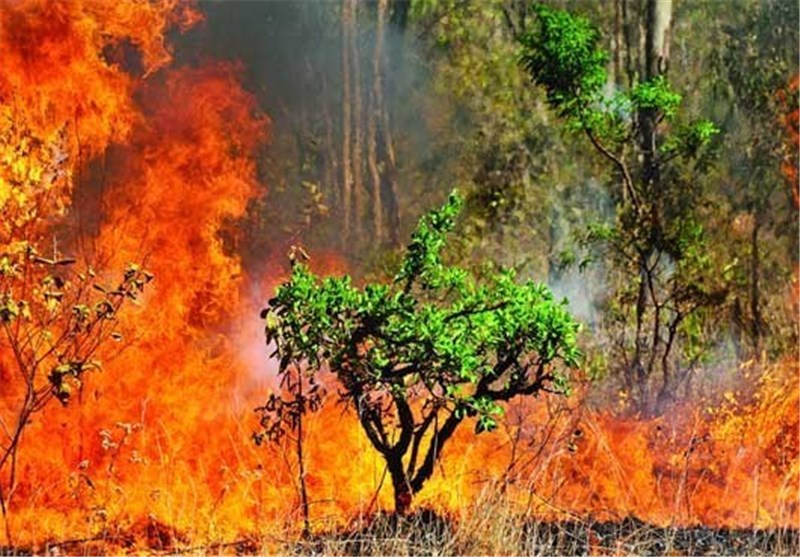 لزوم رعایت مسائل ایمنی در طبیعت/ مسافران از روشن کردن آتش در کنار مزارع و جنگل ها خودداری کنند