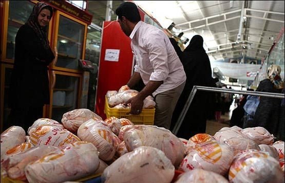 بازار مرغ همچنان در نوسان/ قیمت ارزان شد
