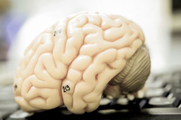  چگونگی کشف رشد تومورهای مغزی 
