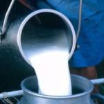 خرید تضمینی شیر مازاد مصرف دامداران یزدی  آغازشد 