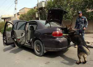درجه حرارت بالا در عراق، سگ‌های ویژه پلیس را هم زمین‌گیر کرد