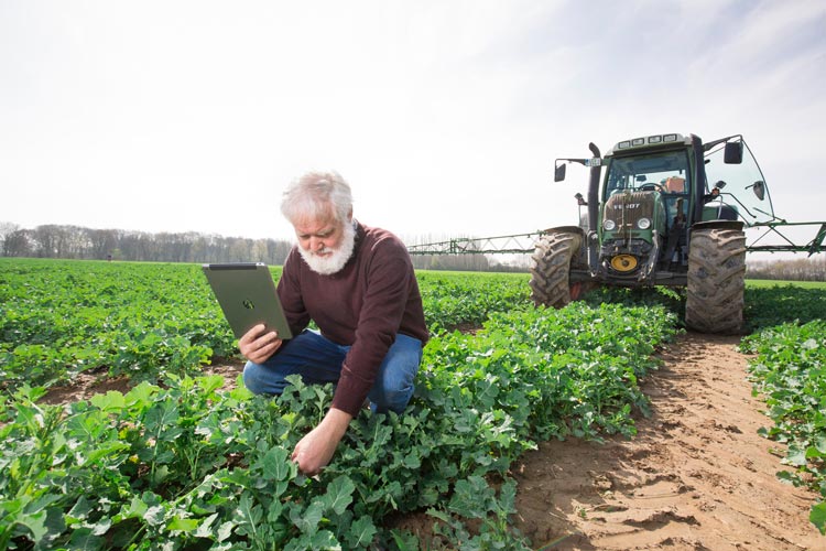 کشاورزی دیجیتال و توسعه فناوری های پیش بینی آب و هوا