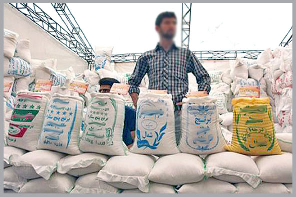 سقوط واردات برنج و افزایش ۳ برابری قیمت!

