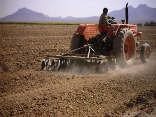 ۲۱۰ طرح کشاورزی در سیستان و بلوچستان به بهره برداری رسید