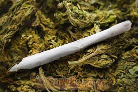  مخدری خانمان برانداز به نام گُل 