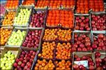 بازار داغ نوبرانه‌های پاییزی/ کیفیت میوه‌های تابستانی در سراشیبی سقوط