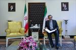 ولایتی: ایران همواره از دوستان خود در منطقه حمایت خواهد کرد