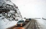 بارش برف و باران در کردستان، تردد خودروها با زنجیر چرخ ممکن است