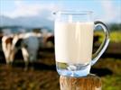 ۱۱ دلیلی که شیر دیگر یک غذای جادویی نیست