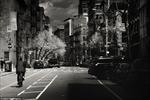 تصاویری سیاه از زندگی روزمره نیویورک