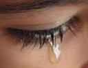 کاخ های بهشت به چه کسانی واگذار می شود؟