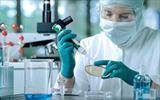 افزایش تاثیر شیمی‌درمانی با «نانوداروی ضدسرطان» محققان ایرانی