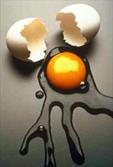 چهار قدم تا مصرف ایمن زرده تخم مرغ