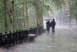 سازمان هواشناسی: بارش برف و باران در برخی از مناطق و تهران