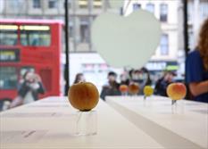 فروش سیب در فروشگاه اپل+تصاویر