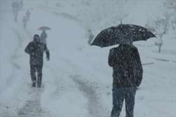 برف و سرما مدارس سردشت و پیرانشهر را برای دومین روز متوالی تعطیل کرد