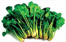 گیاهی که  روده را جارو می کند