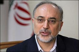 ایران آماده ایجاد کنوانسیون ایمنی نیروگاه‌های هسته‌ای منطقه است