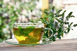 با اين گياهان ناراحتي هاي گوارشي را درمان كنيد!
