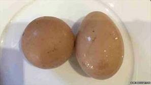 یک تخم مرغ با شکلی عجیب و قیمتی عجیب تر+عکس