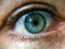بیماری مگس پرانی چشم چیست؟
