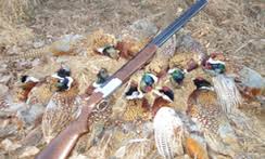 دستگیری شکارچیان غیرمجاز در منطقه شکار ممنوع درونه