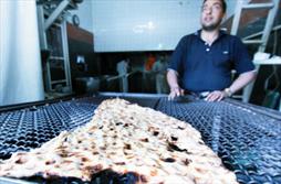 تنور داغ آزاد سازی کامل قیمت نان سنگک/ نان ۳ هزار تومانی می آید؟!