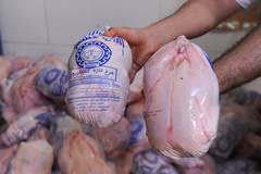 عرضه مرغ منجمد در فروشگاه‌های زنجیره‌ای با قیمت 8900 تومان