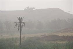 گرد و غبار شدید دید افقی را در شهرستان قصرشیرین به یک هزار متر کاهش داد