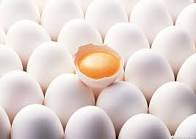 ۳۷ درصد صادرات تخم مرغ کشور متعلق به خراسان رضوی است