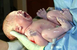 استعلام آمار «نوزادان معتاد» از وزارت بهداشت