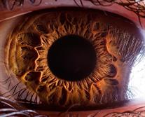 تصاویری شگفت انگیز از پیچیدگی‌های چشم‌ انسان