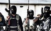 کشته شدن ۲۵۲ تروریست در شبه جزیره سینا طی ماه جاری میلادی