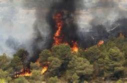 آتش‌سوزی در کمین عرصه‌های جنگلی استان گیلان است