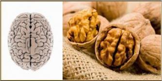 خوراکی هایی که با اندام های بدن گفتگو می کنند!