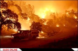 آتش سوزی مهیب در جنگلهای کالیفرنیا / گزارش تصویری
