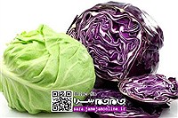 برای پیشگیری از سرطان، کلم بخورید