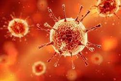 پیش بینی ظرفیت اضافه مراکز درمانی برای ورود احتمالی ویروس کرونا 