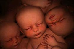 سقط جنین در لهستان ممنوع شد
