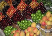 افزایش قیمت ناچیز میوه های شب یلدا در مشهد