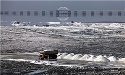 نمک دریاچه ارومیه مسموم است/ ارزیابی میزان بیماری‌ها در مورد طوفان‌های نمکی دریاچه ارومیه