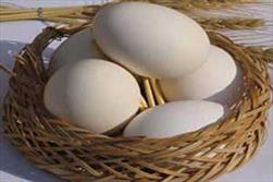 معجزه مصرف ۴ تخم مرغ در هفته