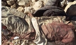 شمار کشته های حملات تروریستی در زینبیه سوریه به ۷۱ تن رسید